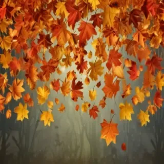 fall leaves png transparent