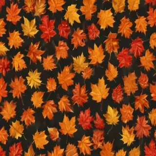 fall leaves png transparent