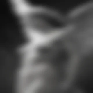black and white angel drawings