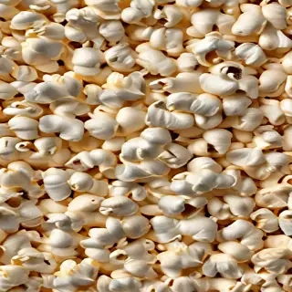 popcorn png
