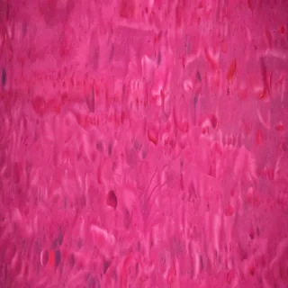 hot pink background