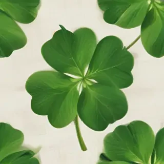 4 leaf clover