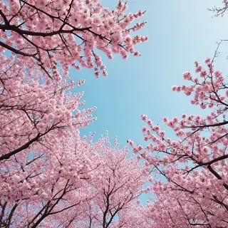 spring aesthetic wallpaper