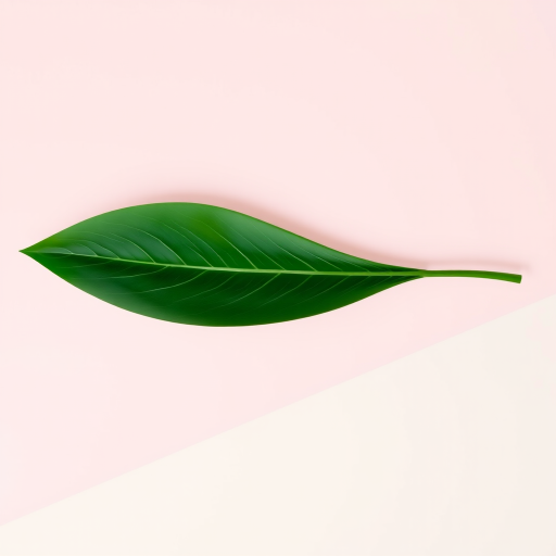 Create a digital illustration of a single green leaf with smooth lines and a modern design, set against a soft pastel background featuring geometric shapes, using a flat lay view, 50mm lens, f/2.8 aperture, and 1/125 shutter speed for optimal clarity and depth.