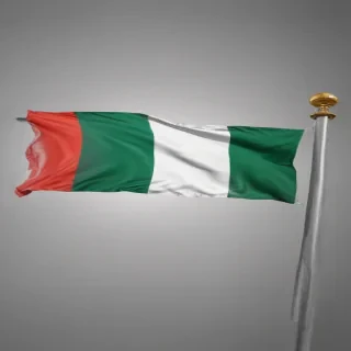 nigeria flag png