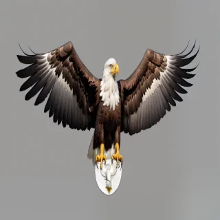 transparent eagle