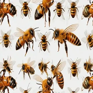 bees png
