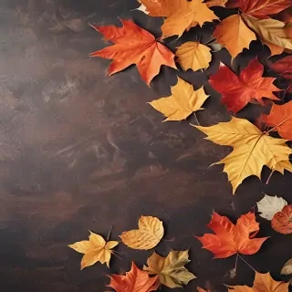 fall background iphone