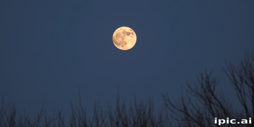 moon frawing