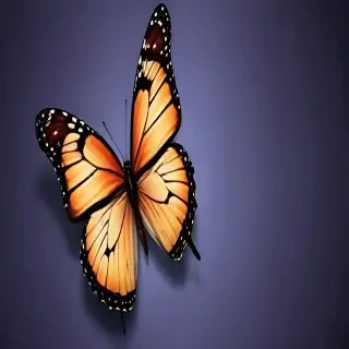 butterfly wallpaper for phone