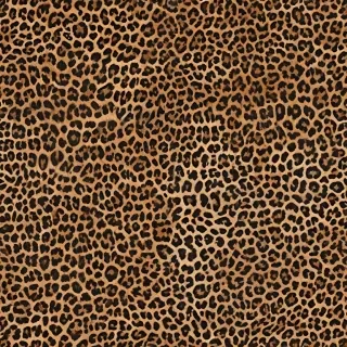 leopard print png