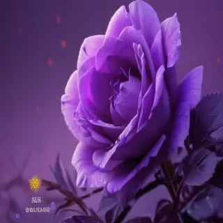 cute purple wallpapers