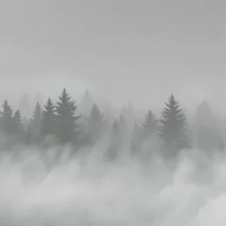 fog transparent background