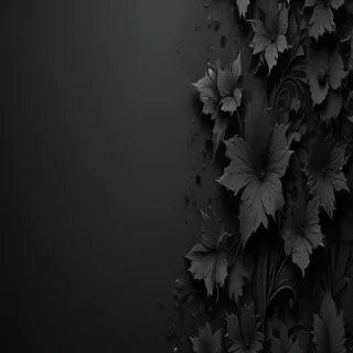 black wallpaper for phone