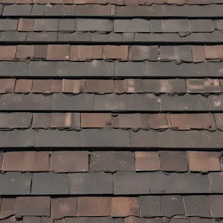 pictures of shingles