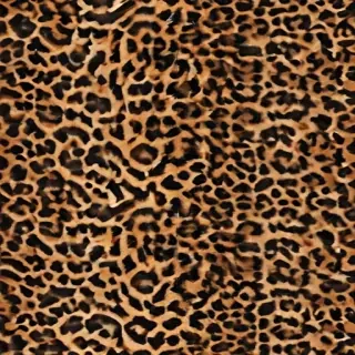leopard print png