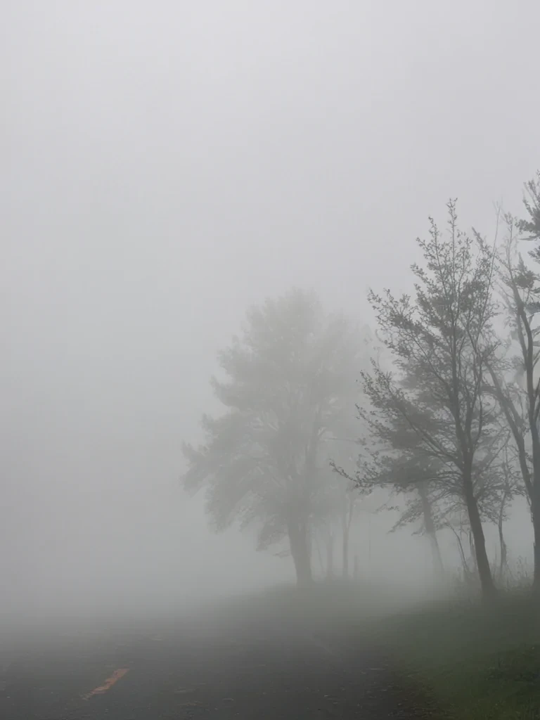 fog transparent background