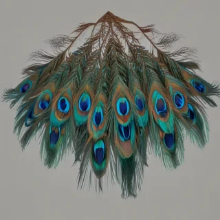 peacock feather png