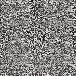 lace pattern png