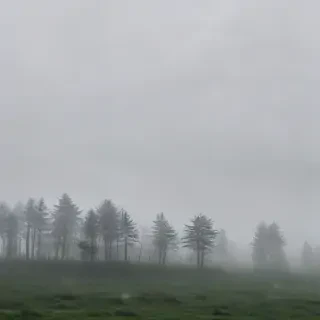foggy background