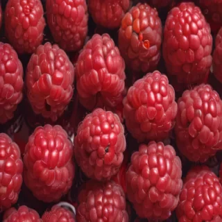 raspberry png