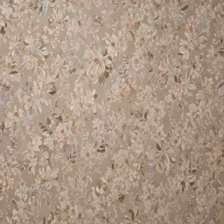 plain wallpaper for phone