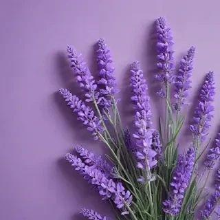 aesthetic lavender wallpaper