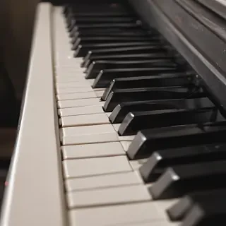piano keys