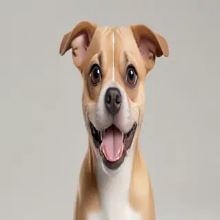 funny dog png