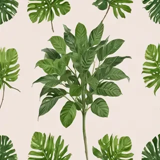 plant no background