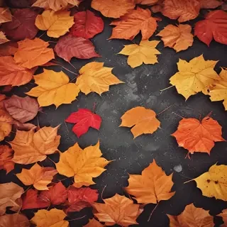 autumn leaves iphone wallpaper