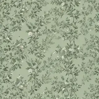 sage green wallpaper aesthetic