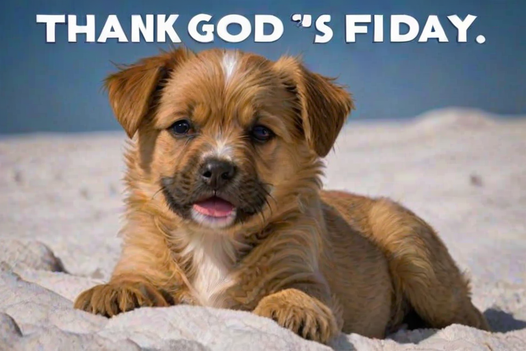 images thank god it's friday