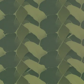 plant wallpaper