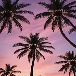 palm tree background
