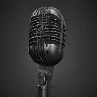 microphone .png