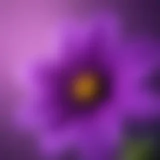 purple flower iphone wallpaper