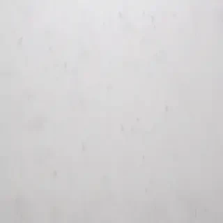 white grey background