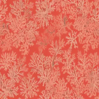 coral color