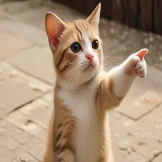 you pointing