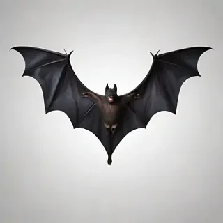 bat wings png