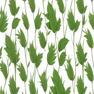cute plant wallpaper