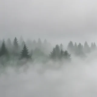 fog transparent background