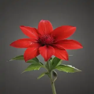 red flower png