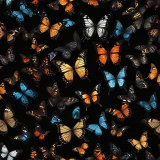 butterflies in black background