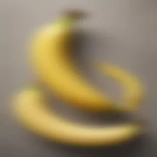 banana peel png