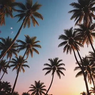 summer background iphone