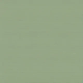 sage green backgrounds