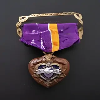 image purple heart