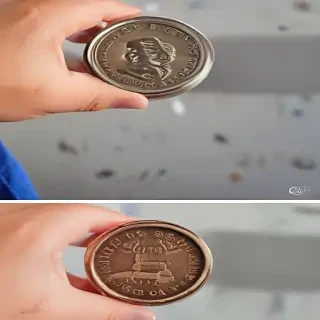 google flip a coin
